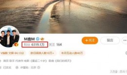 狗仔爆料娱乐圈塌房顶流,狗仔爆料揭开神秘面纱