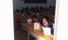 深圳今日一线爆料电话,揭秘电话背后的惊人内幕