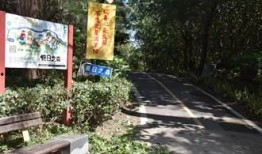 竹林小区新闻爆料最新情况,最新进展及影响揭秘